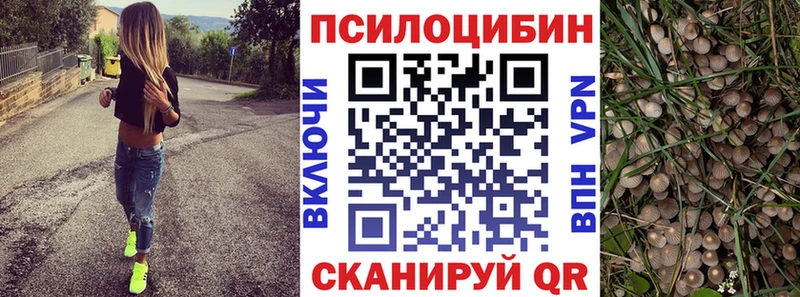 Псилоцибиновые грибы ЛСД  сколько стоит  Озёры 